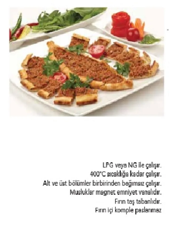 Gazlı Pizza ve Pide Fırını - PFG
